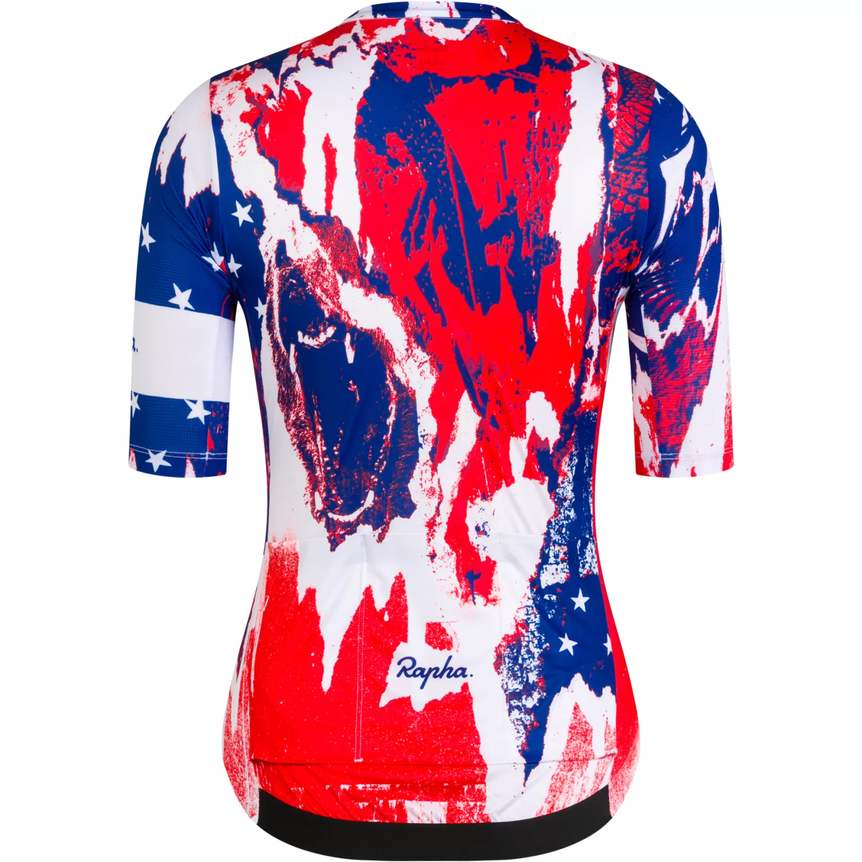 Best Sale Santa Cruz htSQD Women's Pro Team Training Jersey - Nat Champs Women Jerseys